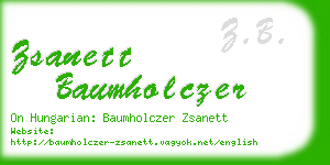 zsanett baumholczer business card